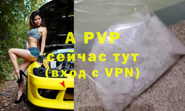 гашик Абинск