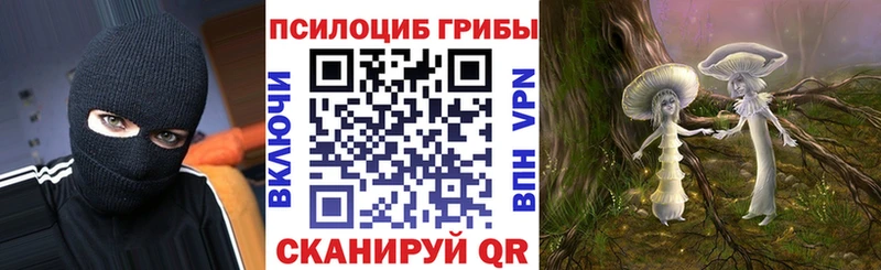 Псилоцибиновые грибы мицелий  кракен зеркало  Симферополь 