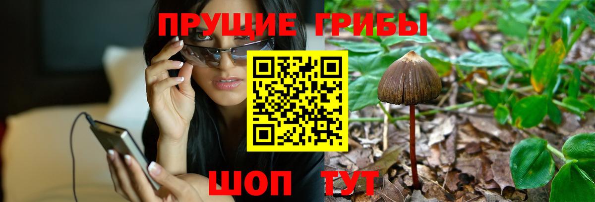Галлюциногенные грибы ЛСД Симферополь